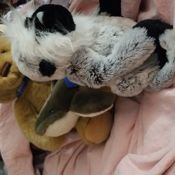 Make a Wish Bear and extras Plush bundle of 3 - Picture 4 of 13